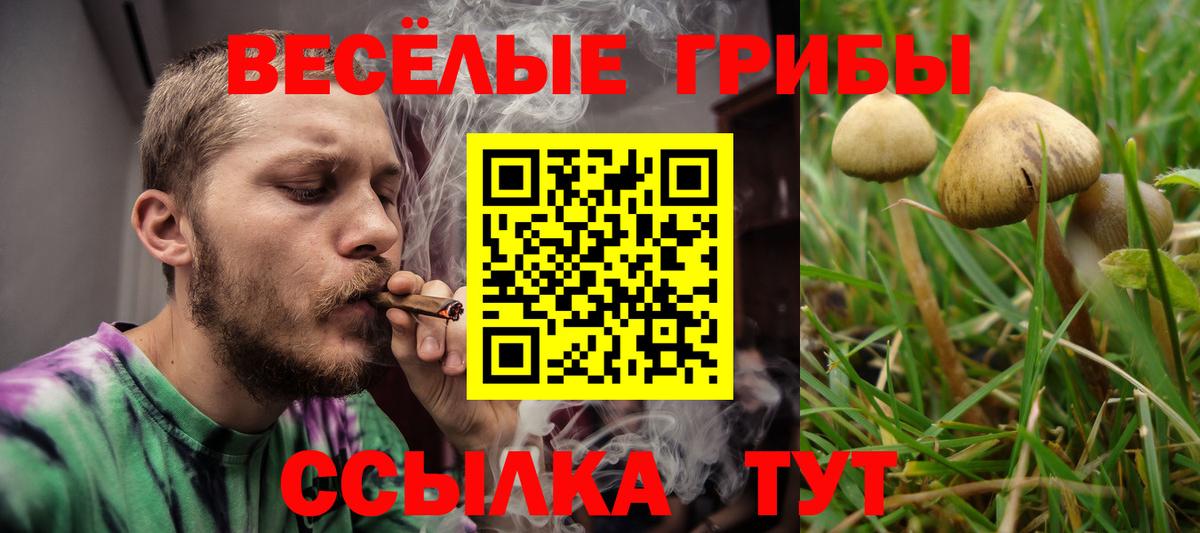 Сыктывкар  Псилоцибиновые грибы ЛСД  Вход с VPN 