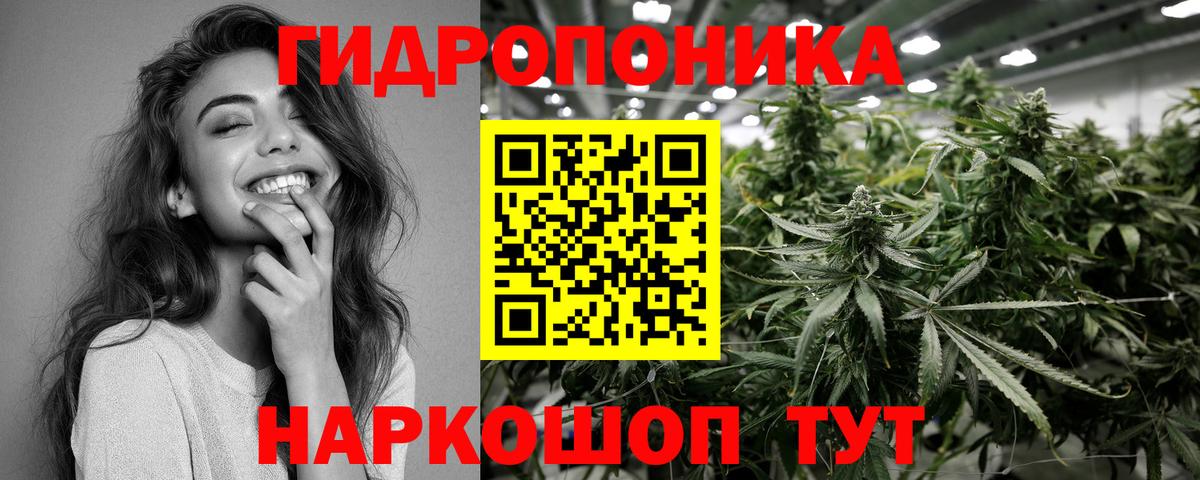 Марихуана семена  Шишки марихуана индика  Вход с VPN  Конопля AK-47  Сыктывкар 